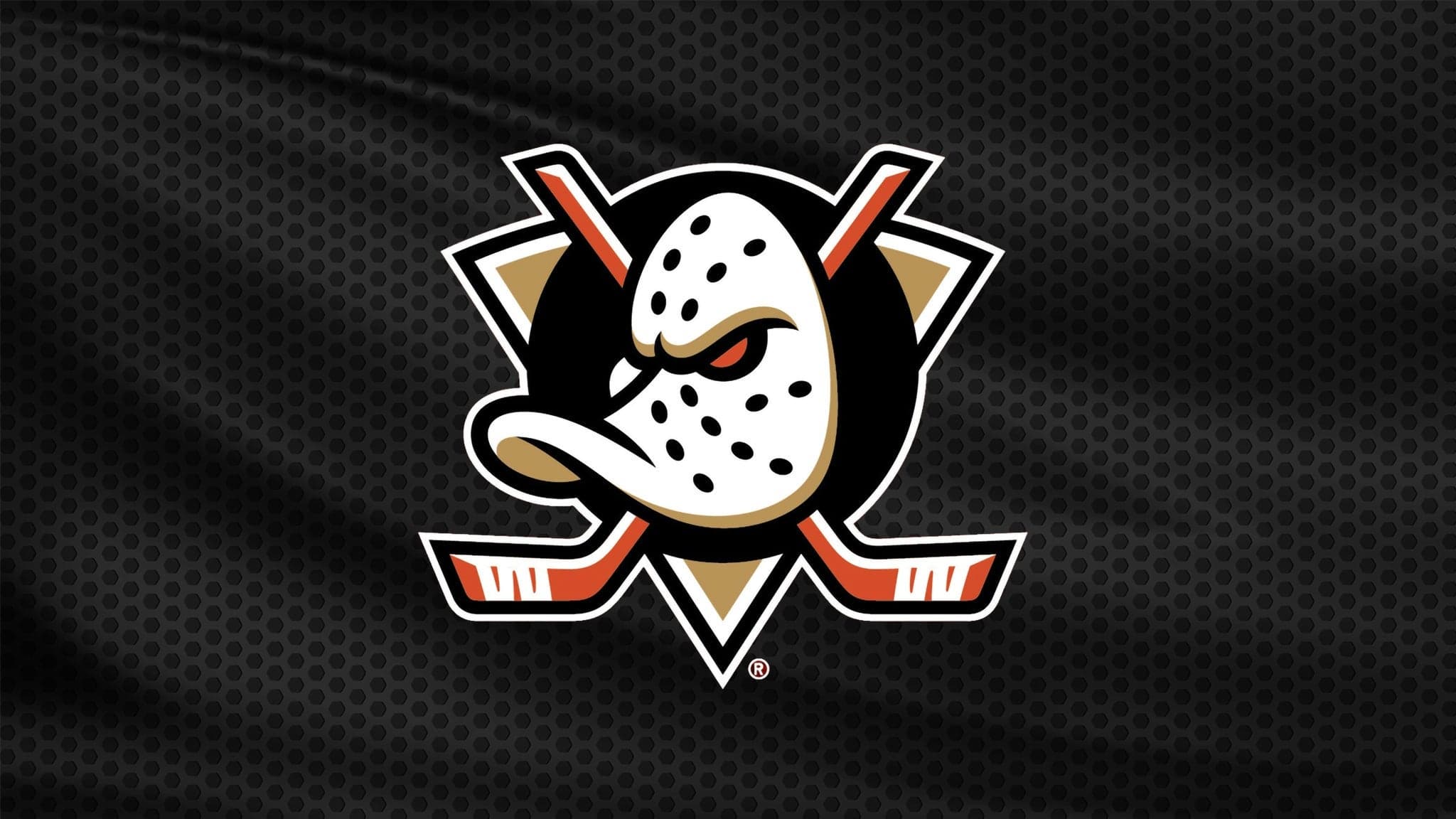 Anaheim Ducks artwork