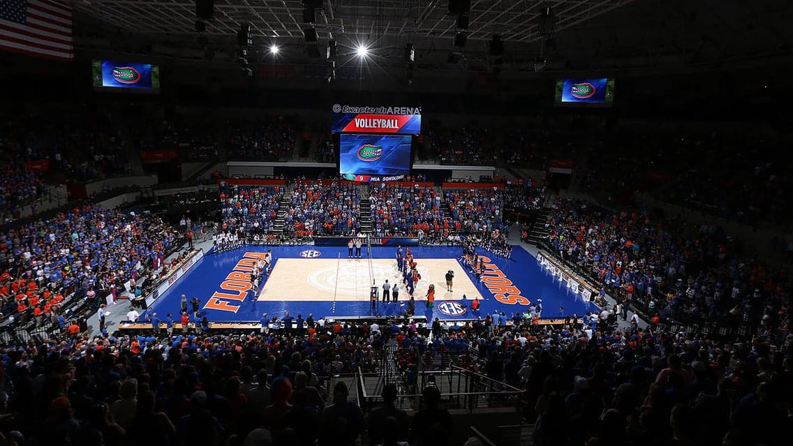 Florida Gators Volleyball artwork