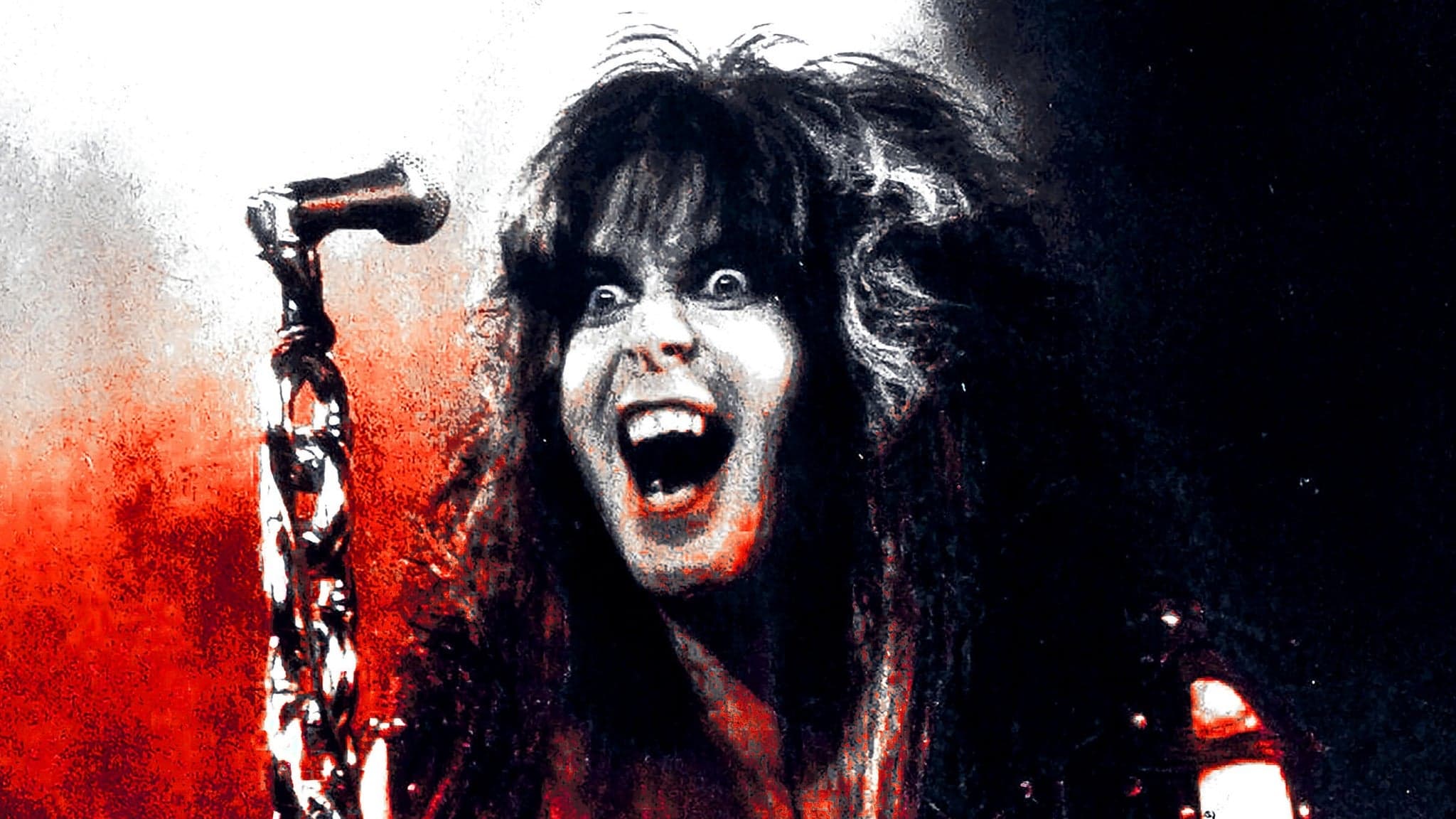 W.A.S.P. artwork