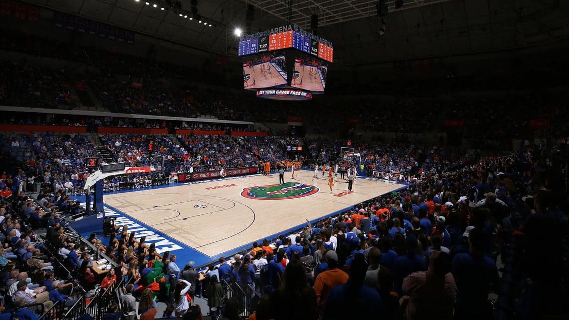 Florida Gators Men's Basketball artwork