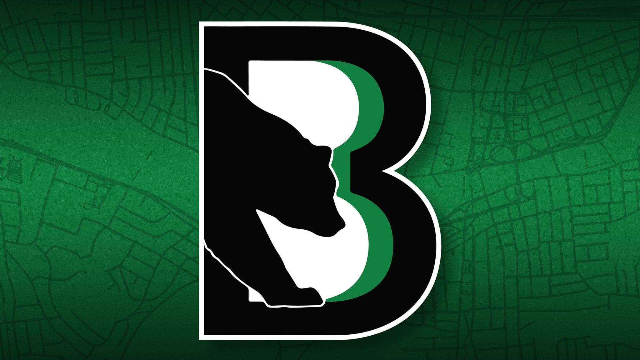 Binghamton Black Bears artwork