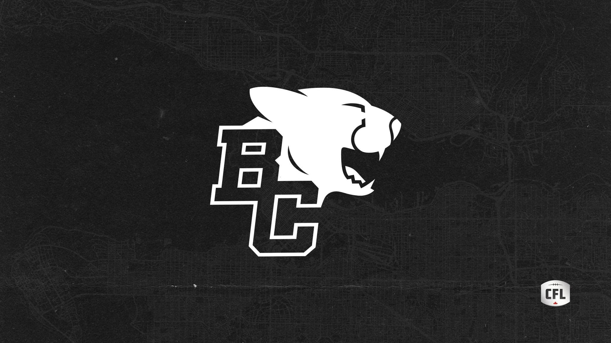 BC Lions artwork