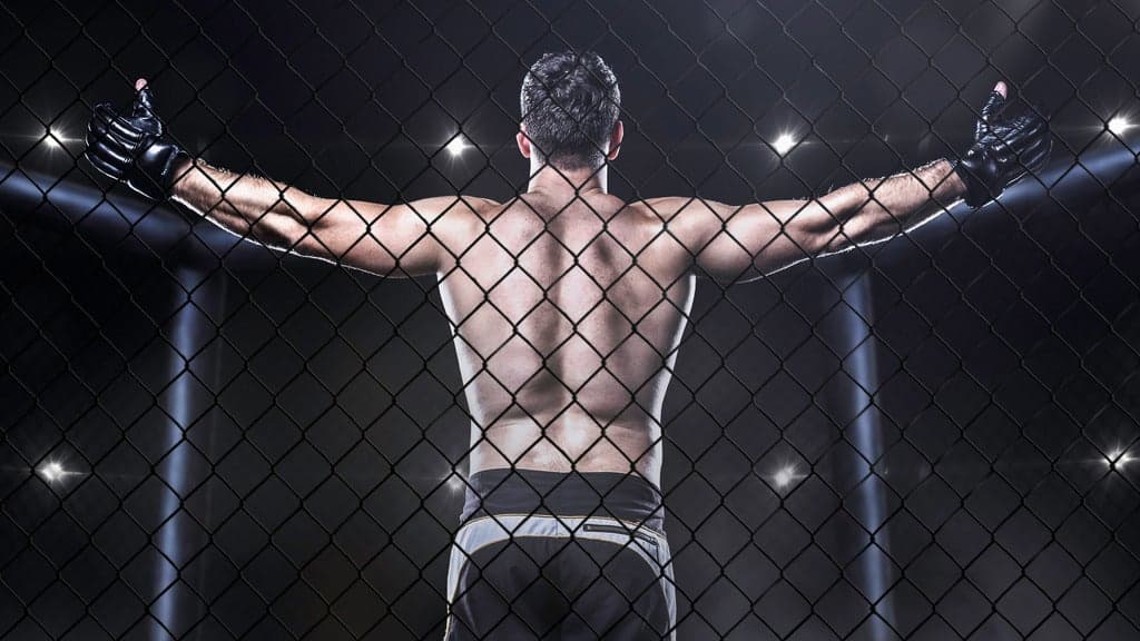 MMA - Mixed Martial Arts artwork