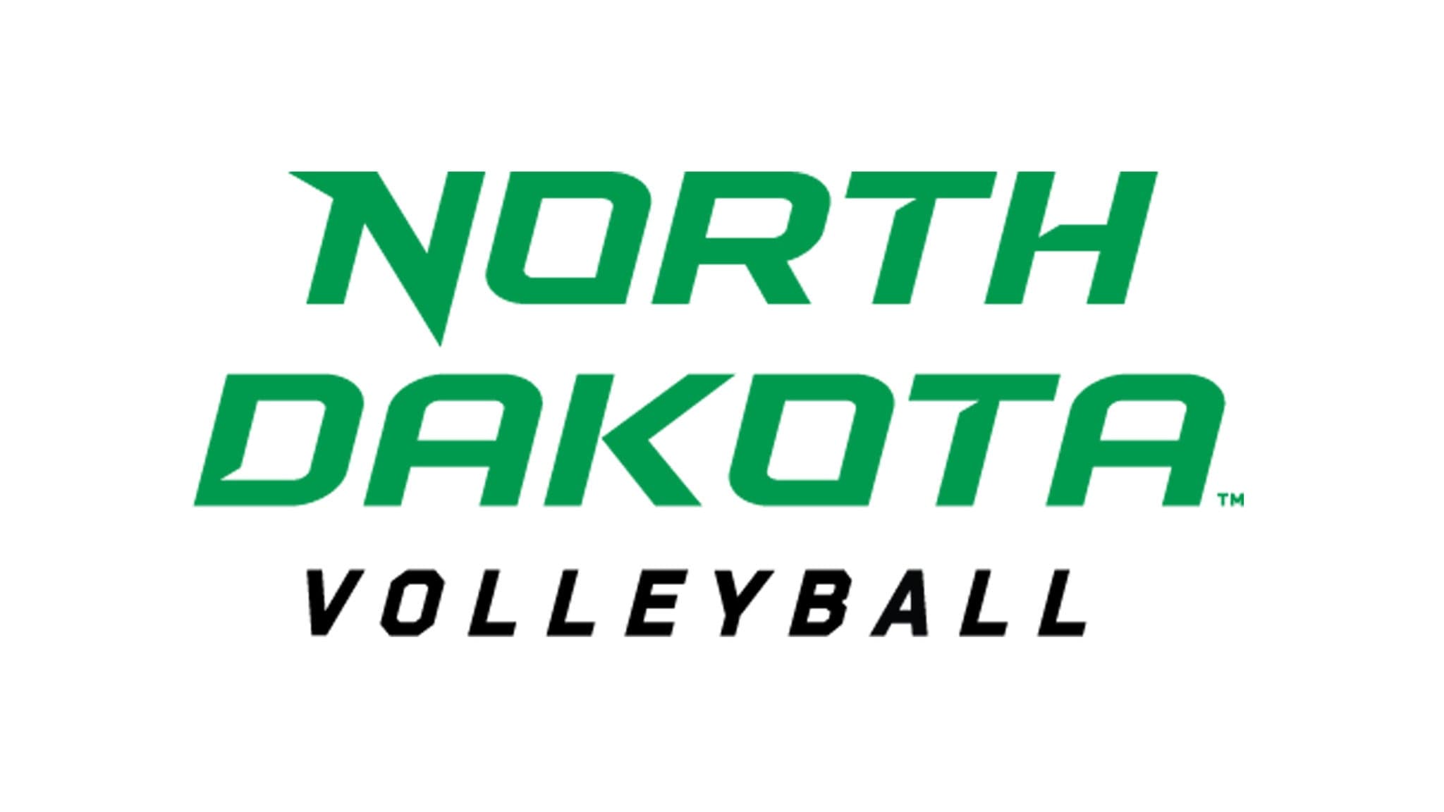 University of North Dakota Womens Volleyball artwork