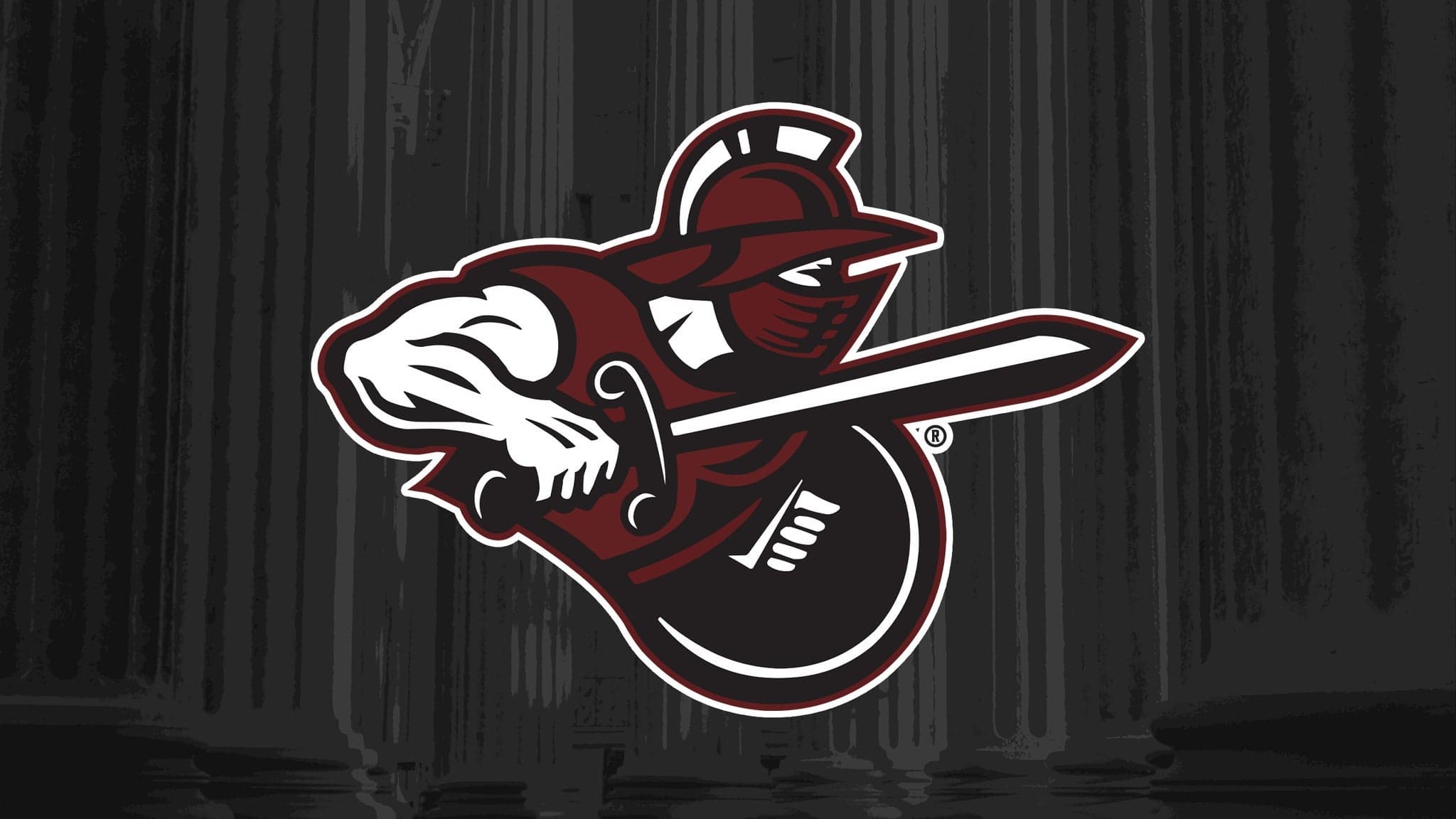 Atlanta Gladiators artwork