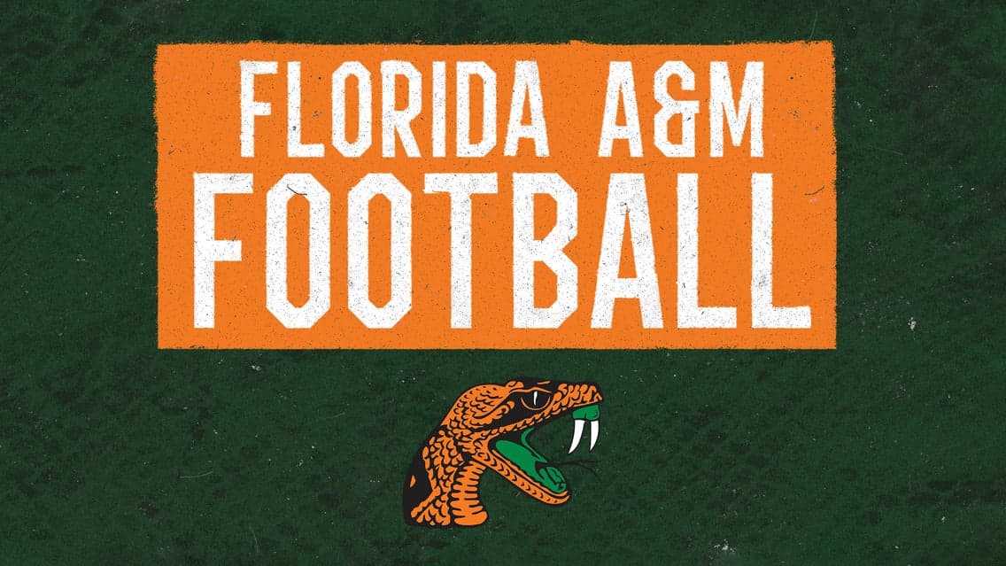 Florida A&M Rattlers artwork