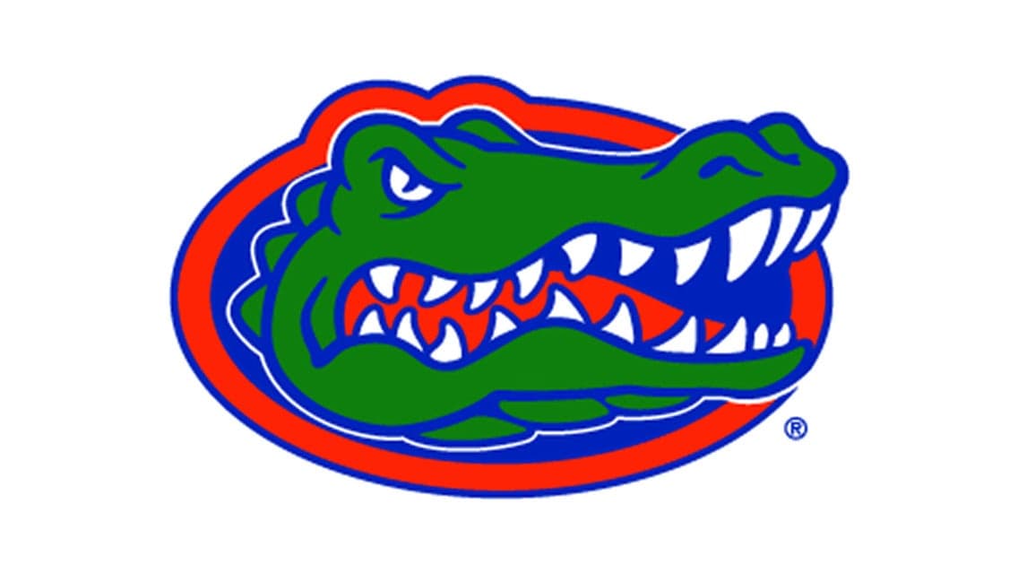 Florida Gators Football artwork