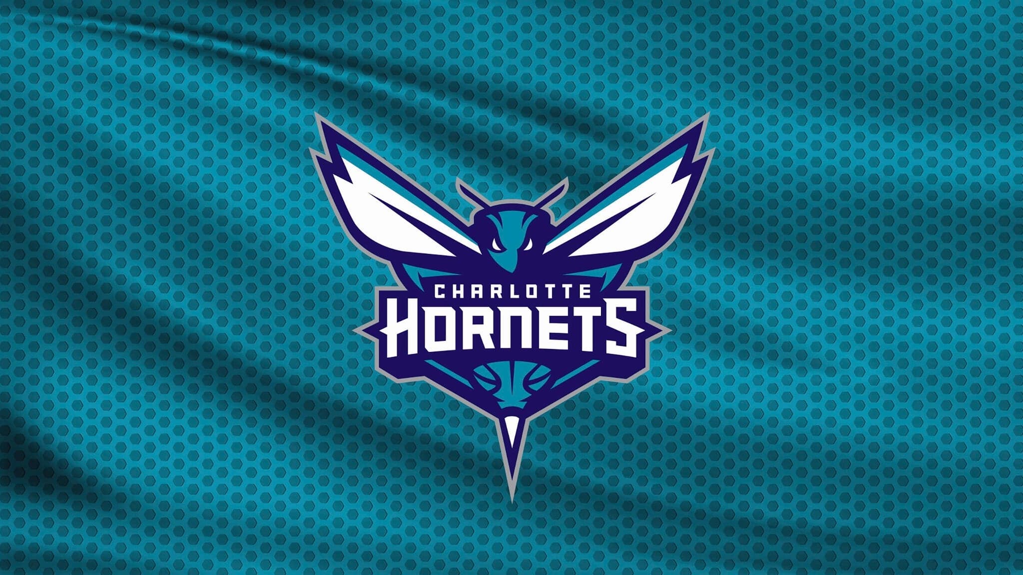 Charlotte Hornets artwork