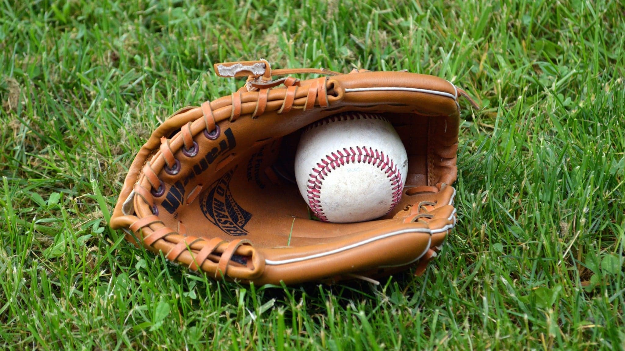 Aberdeen Ironbirds artwork