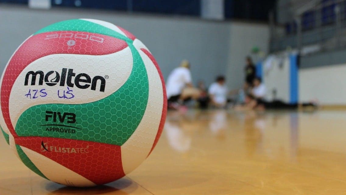 University of Texas Womens Volleyball artwork