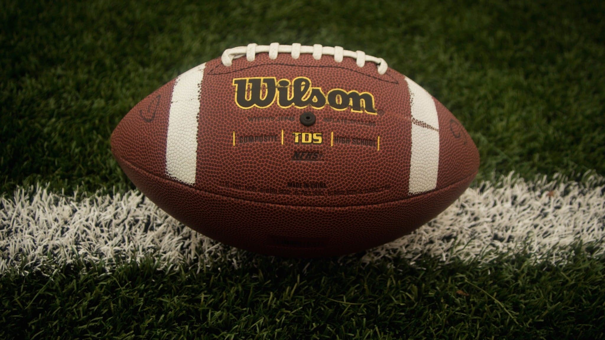 Texas Southern Tigers College Football artwork